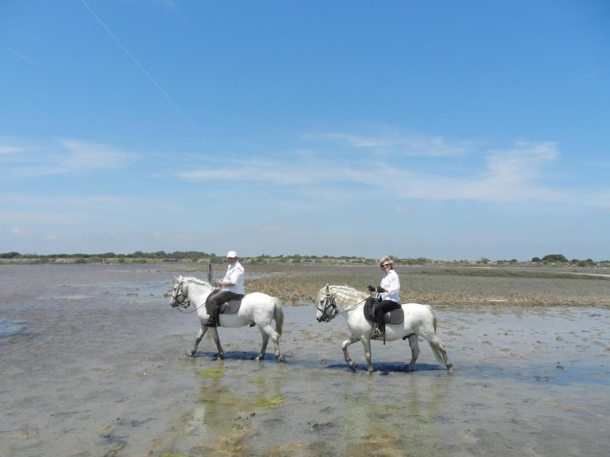 סן-מארי-דה-לה-מאר Mas De La Grenouillere Hotel Et Centre Equestre En Pleine Nature מראה חיצוני תמונה