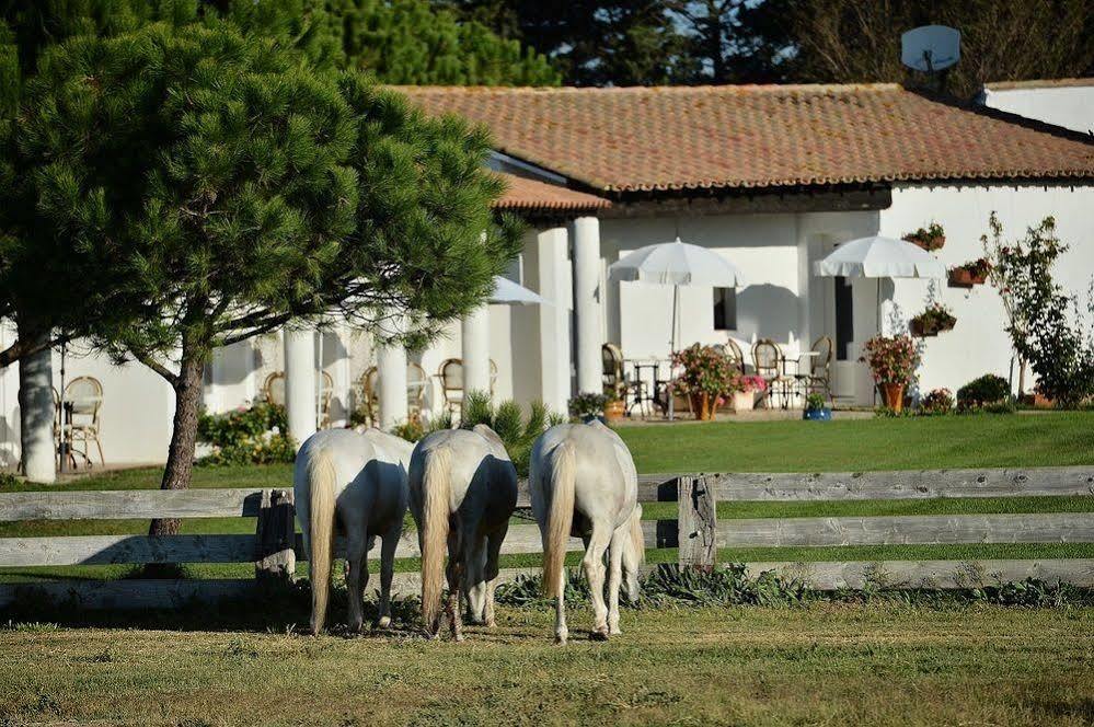 סן-מארי-דה-לה-מאר Mas De La Grenouillere Hotel Et Centre Equestre En Pleine Nature מראה חיצוני תמונה